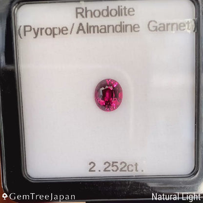 【SP Trial Price】"Table Cube Cut 2" Rhodolite Garnet 2.252ct / Tanzania
