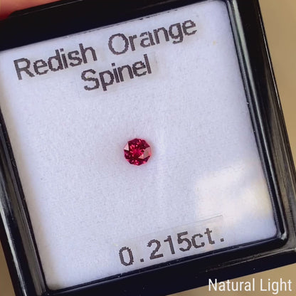 Redish Orange Spinel 0.215ct / Vietnam