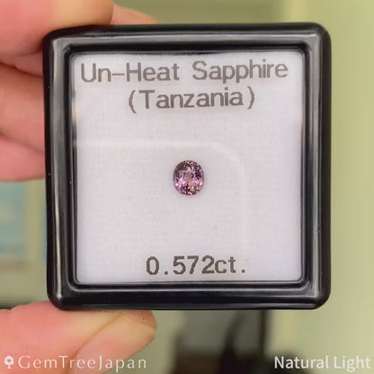 Un-Heat Sapphire 0.572ct / Tanzania