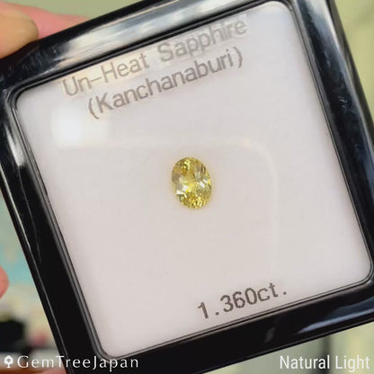 "Super Gira Cut" Un-Heat Sapphire 1.360ct / Kanchanaburi