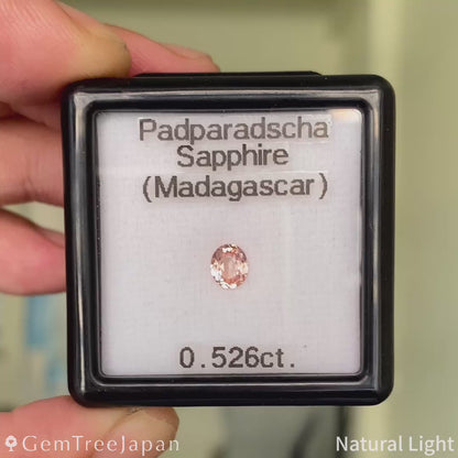 Padparadscha Sapphire 0.526ct / Madagascar