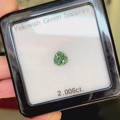 Yellowish Green Sapphire 2.006ct / Nigeria