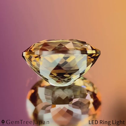Parti-Color Tourmaline 1.303ct / Madagascar