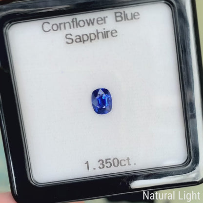 Cornflower Blue Sapphire 1.350ct / Burma