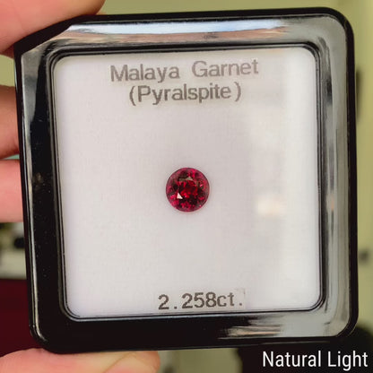 Red Malaya Garnet (Pyralspite) 2.258ct / Tanzania