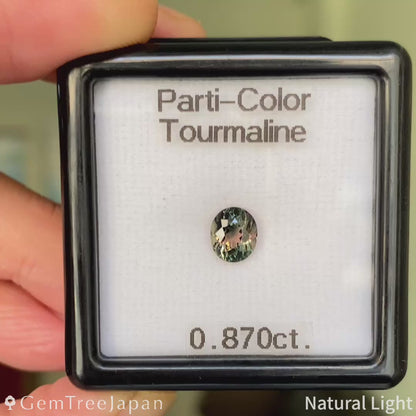 Parti-Color Tourmaline 0.870ct / Brazil