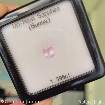 Un-Heat Sapphire 1.395ct / Burma
