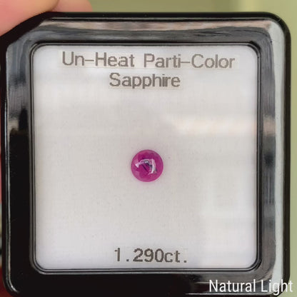 Un-Heat Parti-Color Sapphire 1.290ct / Vietnam