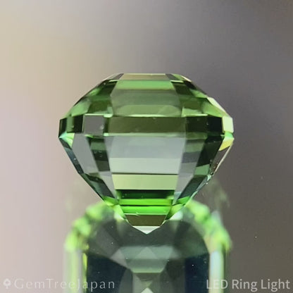 Green Tourmaline 1.260ct / Tanzania