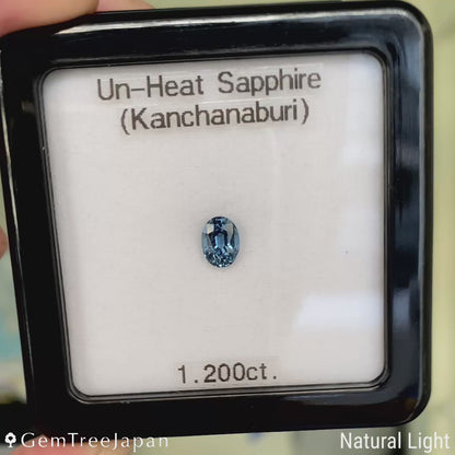 Unheated Sapphire 1.200ct / Kanchanaburi