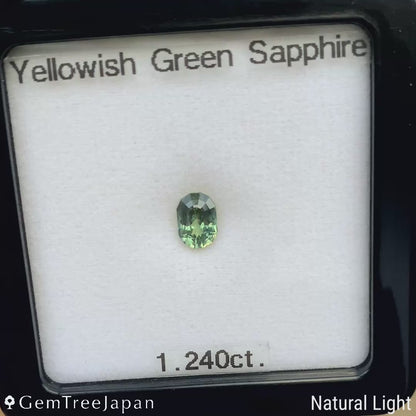 Yellowish Green Sapphire 1.240ct / Nigeria