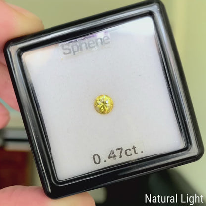 Sphene 0.47ct / Madagascar