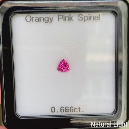 Mahenge Spinel 0.666ct / Tanzania