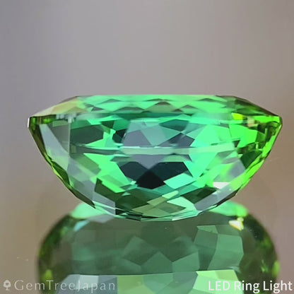 Bluish Green Tourmaline 1.015ct / Nigeria