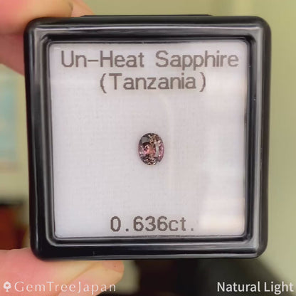 Un-Heat Sapphire 0.636ct / Tanzania