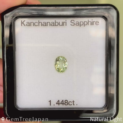 Greenish Light Yellow Sapphire 1.448ct / Thailand (Kanchanaburi)