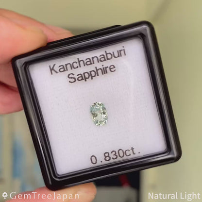 Kanchanaburi Sapphire 0.830ct / Thailand