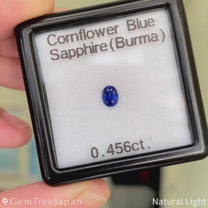 Cornflower Blue Sapphire 0.456ct / Burma