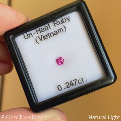 Un-Heat Ruby 0.247ct / Vietnam