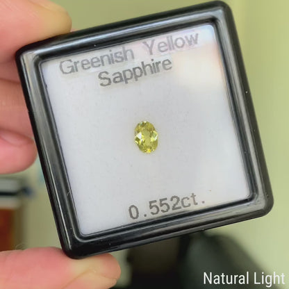 Greenish Yellow Sapphire 0.552ct / Vietnam