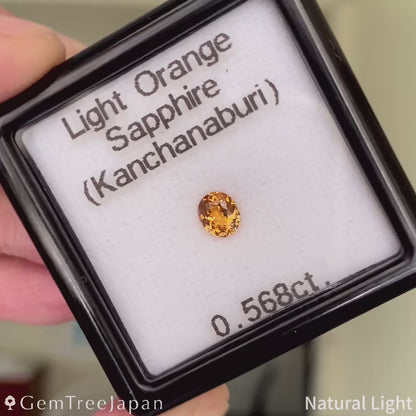 Light Orange Sapphire 0.568ct / Thailand (Kanchanaburi)