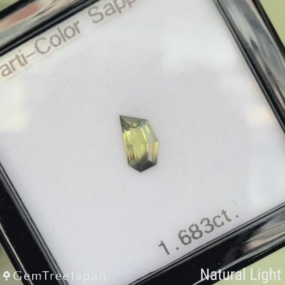 Parti-Color Sapphire 1.683ct / Nigeria