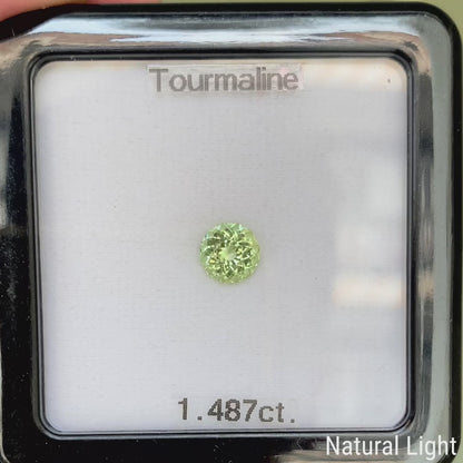 Light Green Tourmaline 1.487ct / Tanzania