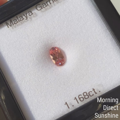 Malaya Garnet 1.168ct