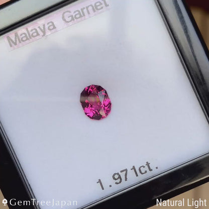 Malaya Garnet 1.971ct / Tanzania