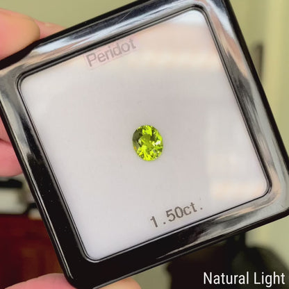 Peridot 1.50ct / Vietnam / Table Cube Cut