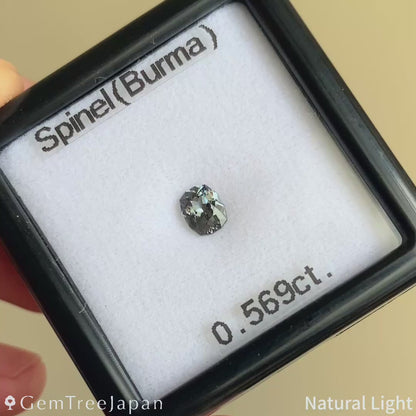 【Trial Price】Grey Spinel 0.569ct / Burma