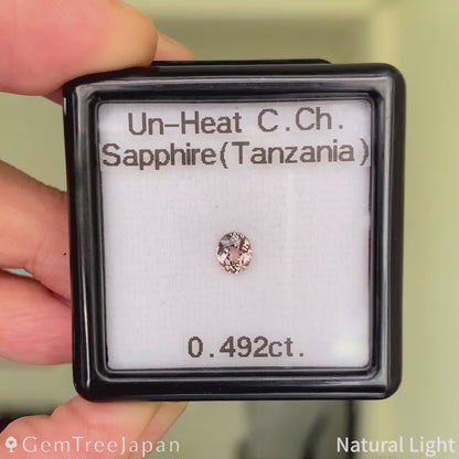 Un-Heat Color-Change Sapphire 0.492ct / Tanzania