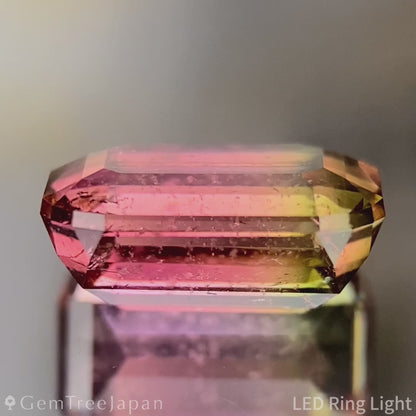 Bi-Color Tourmaline 2.618ct / Brazil