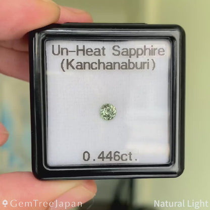 Un-Heat Sapphire 0.446ct / Thailand (Kanchanaburi)