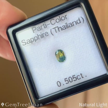 Parti-Color Sapphire 0.505ct / Thailand