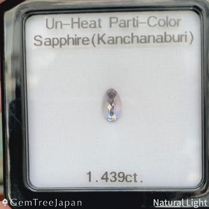 "Sleepy Rainbow" Un-Heat Parti-Color Sapphire 1.439ct / Kanchanaburi (Thailand)