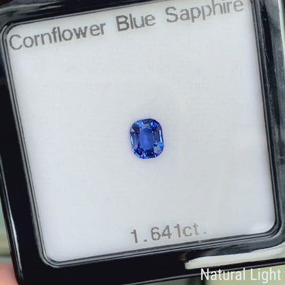 Cornflower Blue Sapphire 1.641ct / Burma