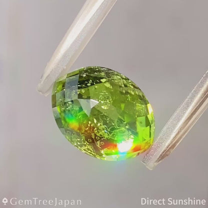 "Lily Pad Eye" Peridot 4.265ct / Pakistan 【One Price】