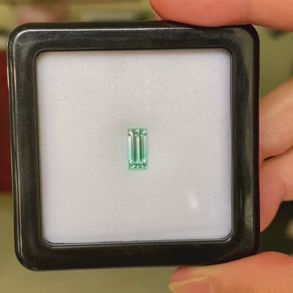 Green Beryl 1.13ct / Nigeria