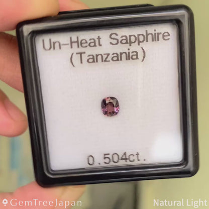 Un-Heat Sapphire 0.504ct / Tanzania