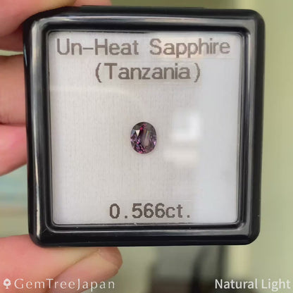 Un-Heat Sapphire 0.566ct / Tanzania