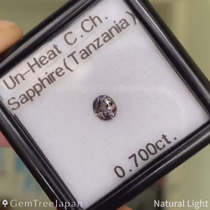 “Table Cube Cut" Un-Heat Color-Change Sapphire 0.700ct / Tanzania