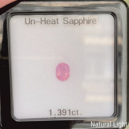 Un-Heat Sapphire 1.391ct / Vietnam