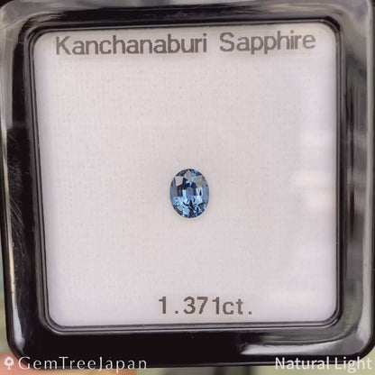 Kanchanaburi Sapphire 1.371ct / Thailand