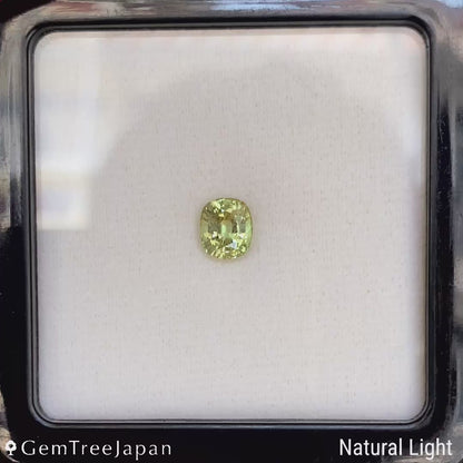 UV Change Tsavorite (Grossular Garnet) 1.387ct / Tanzania