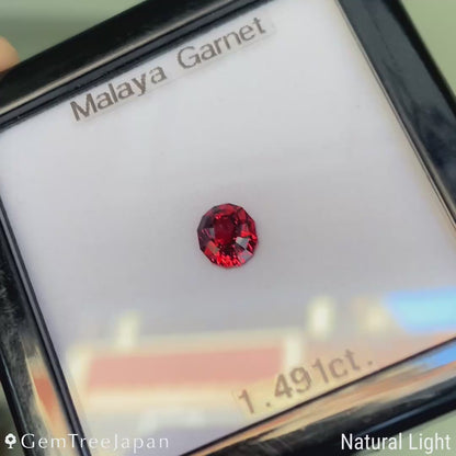 Malaya Garnet 1.491ct / Tanzania