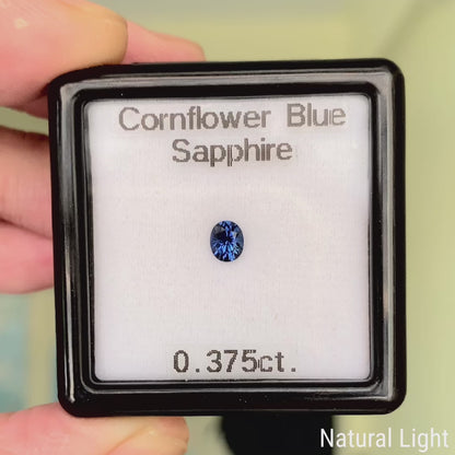Cornflower Blue Sapphire 0.375ct / Sri Lanka