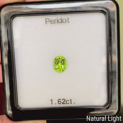 Peridot 1.62ct / Vietnam