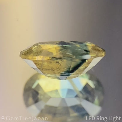 Un-Heat Parti-Color Sapphire 0.824ct / Vietnam