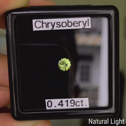 Parrot Chrysoberyl 0.419ct / Sri Lanka
